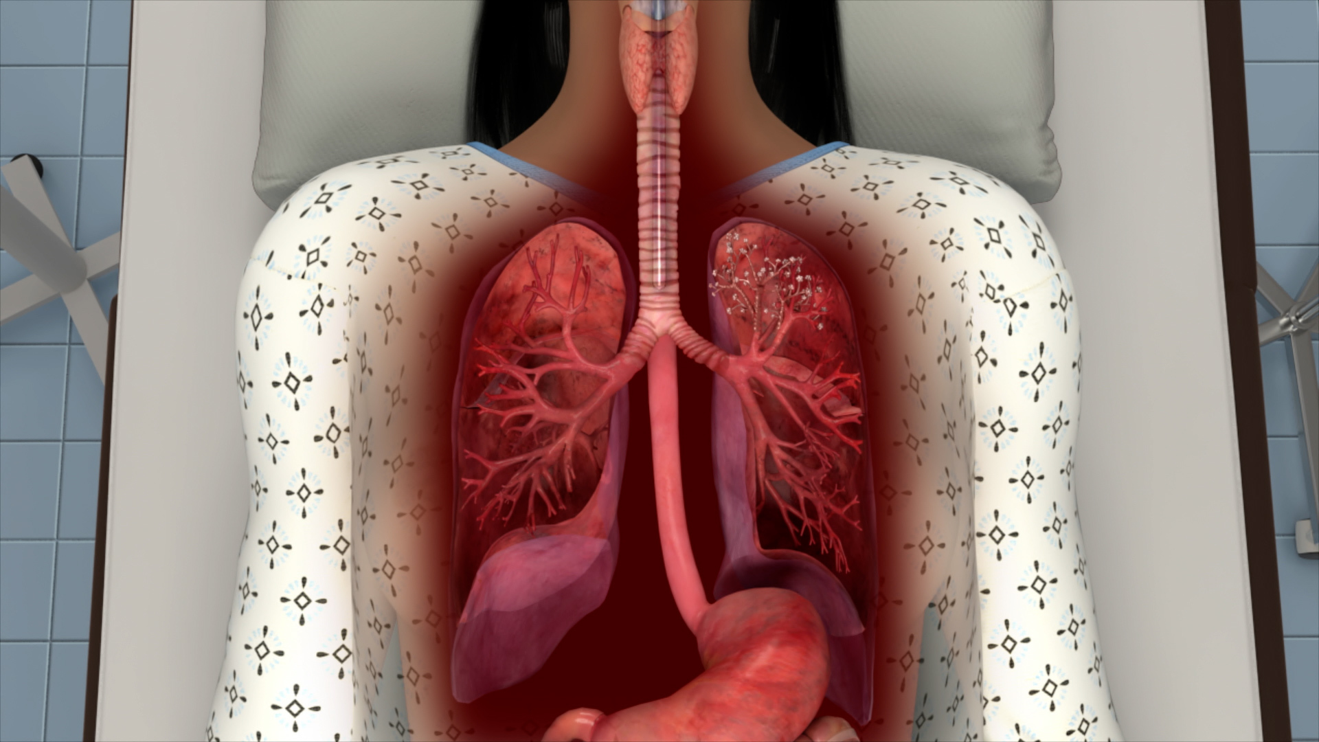Anatomical Visualization